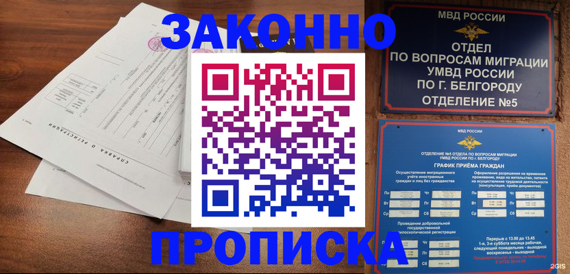 прописка в Киселёвске